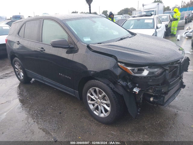 Chevrolet EQUINOX LS 2019 2GNAXHEV1K6256622 Image 1
