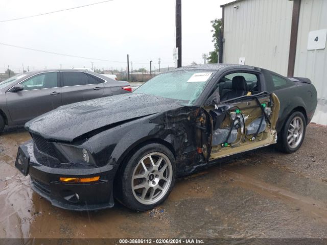 2009 FORD SHELBY GT500 1ZVHT88S595123627 Photo 1