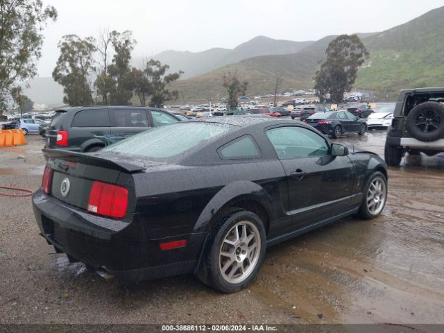 2009 FORD SHELBY GT500 1ZVHT88S595123627 Photo 3