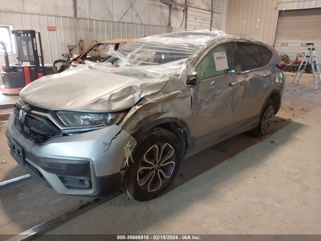 Honda Cr-v Awd Ex 2020 2HKRW2H56LH656678 Image 2