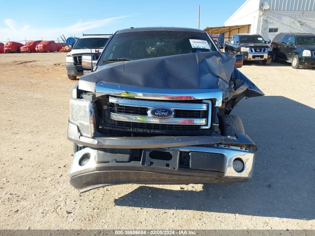 2013 FORD F-150 XLT VIN: 1FTEW1CM3DFC79889