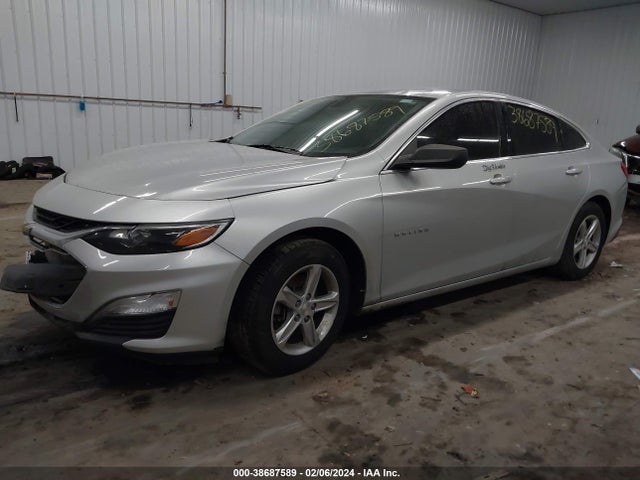 Chevrolet Malibu 1fl 2019 1G1ZC5ST4KF209477 Image 2