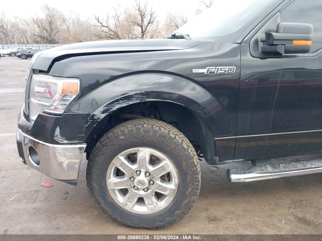 Ford F-150 Xlt 2014 1FTFW1EF3EFA61441 Image 6