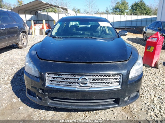 2009 NISSAN MAXIMA 3.5 SV VIN: 1N4AA51E89C804492