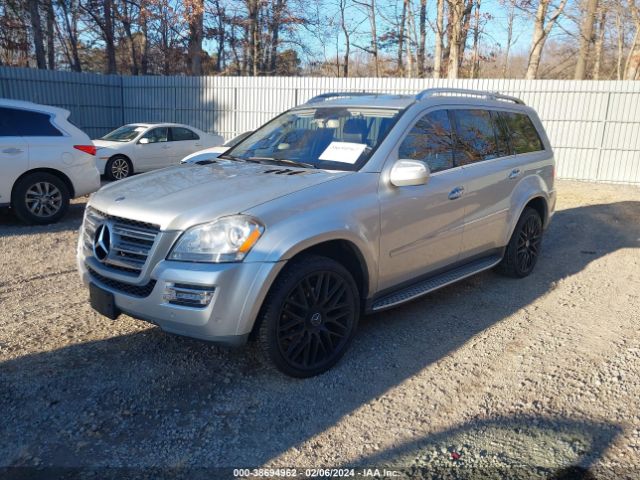 2010 MERCEDES-BENZ GL 550 4JGBF8GEXAA591968 Photo 1