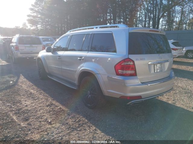 2010 MERCEDES-BENZ GL 550 4JGBF8GEXAA591968 Photo 2