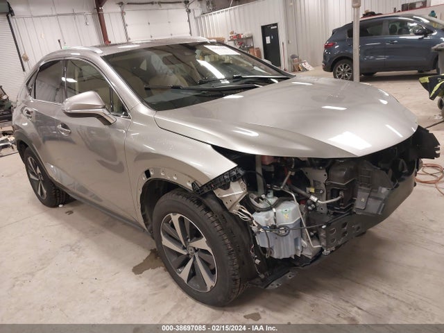 Lexus NX 300H 2020 JTJGJRDZXL2145836 Image 1