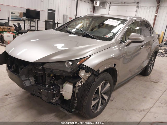 Lexus NX 300H 2020 JTJGJRDZXL2145836 Image 2