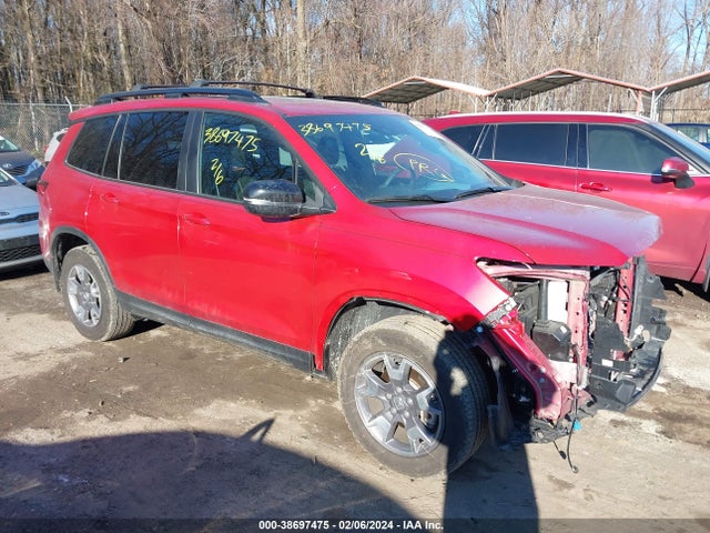 Honda Passport Awd Trailsport 2023 5FNYF8H63PB017749 главное изображение
