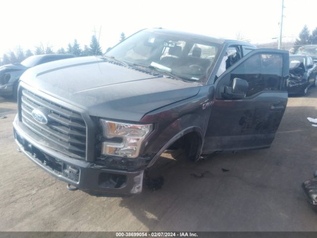 1FTEW1EF7GFD39482 Ford F-150 Xlt