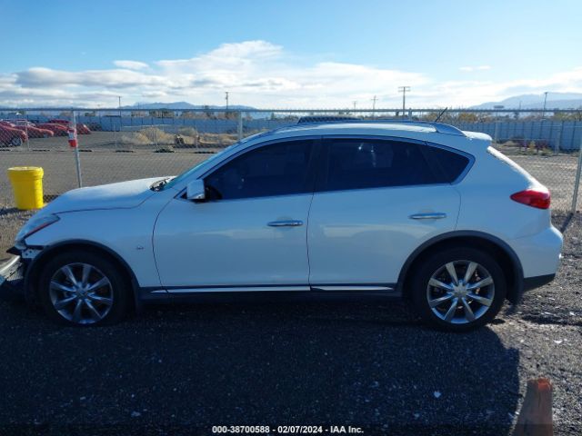 JN1BJ0RP0HM381023 Infiniti QX50