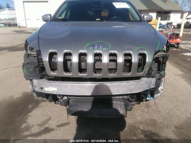 Jeep Cherokee Limited 2015 1C4PJMDS3FW710529 Image 6