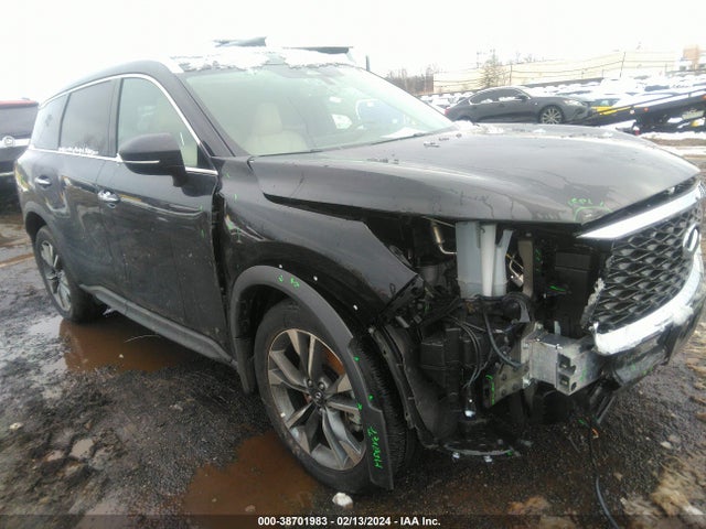 2023 INFINITI QX60 LUXE AWD VIN: 5N1DL1FS9PC365353