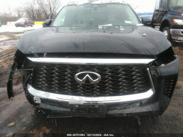 2023 INFINITI QX60 LUXE AWD VIN: 5N1DL1FS9PC365353