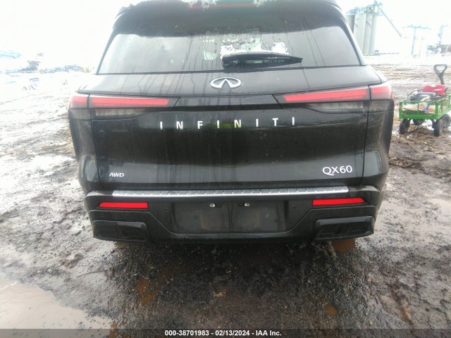 2023 INFINITI QX60 LUXE AWD VIN: 5N1DL1FS9PC365353