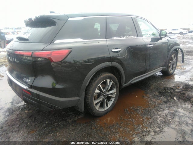 2023 INFINITI QX60 LUXE AWD VIN: 5N1DL1FS9PC365353