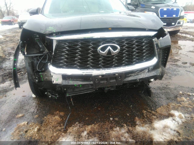 2023 INFINITI QX60 LUXE AWD VIN: 5N1DL1FS9PC365353