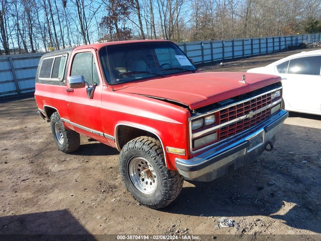 1990 CHEVROLET BLAZER V10 VIN: 1GNEV18K2LF168704