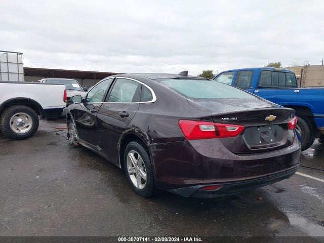 Chevrolet Malibu Fwd 1fl 2020 1G1ZC5ST3LF089320 Image 3