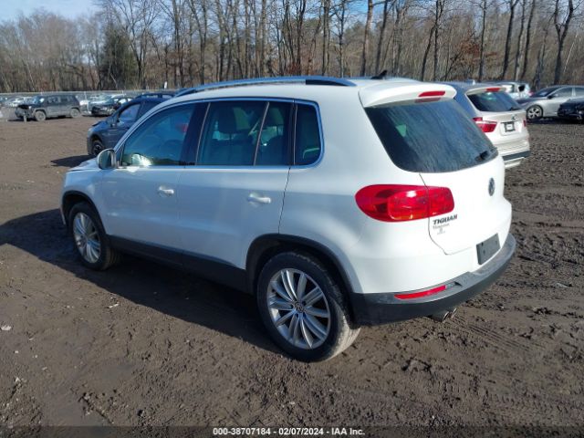 2015 VOLKSWAGEN TIGUAN WVGBV7AX1FW551134 Photo 2