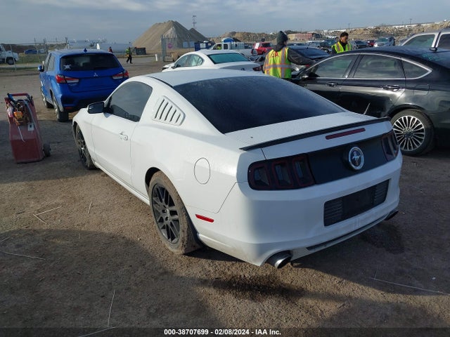 Ford Mustang V6 2014 1ZVBP8AM9E5271389 Image 3