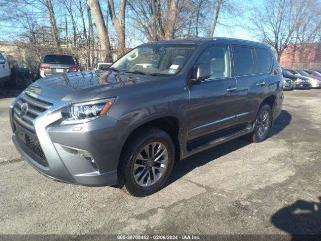 JTJJM7FX6F5095307 Lexus Gx 460 Luxury