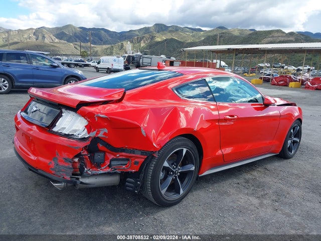 Ford Mustang Ecoboost Fastback 2022 1FA6P8TH3N5106528 Image 4