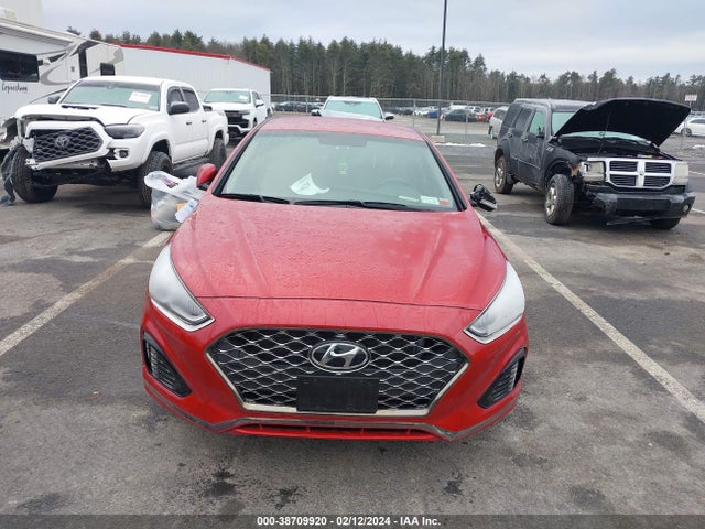 Hyundai SONATA SEL 2019 5NPE34AF4KH807652 Image 12