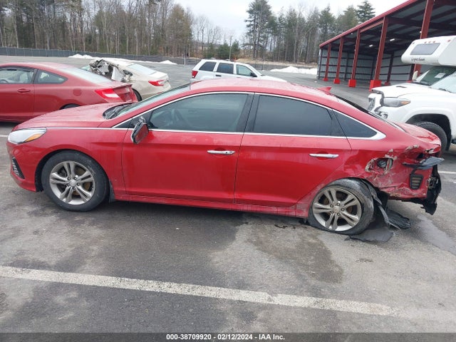Hyundai SONATA SEL 2019 5NPE34AF4KH807652 Image 14