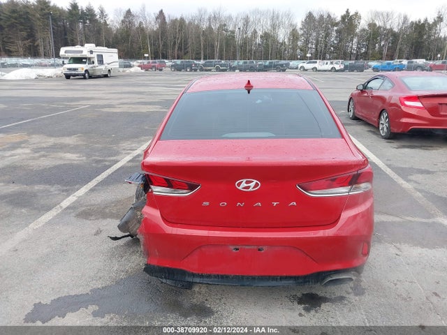 Hyundai SONATA SEL 2019 5NPE34AF4KH807652 Image 16