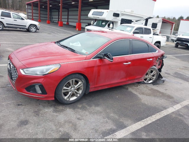 Hyundai SONATA SEL 2019 5NPE34AF4KH807652 Image 2