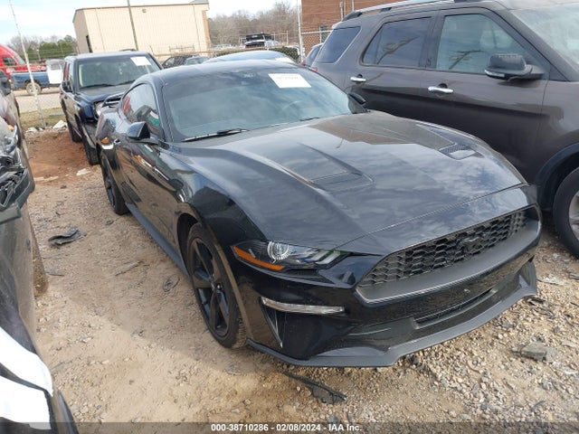 2023 1FA6P8THXP5106027 main image