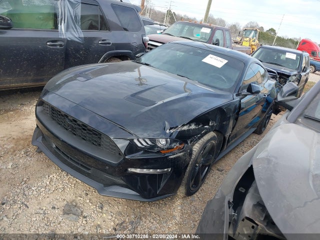 Ford Mustang Ecoboost Premium Fastback 2023 1FA6P8THXP5106027 Image 2