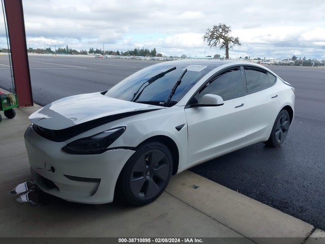Tesla Model 3 Rear-wheel Drive 2023 5YJ3E1EA3PF590602 Image 2