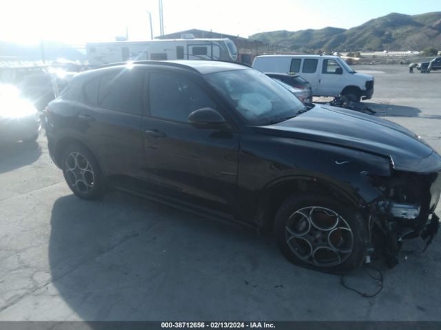 2022 ALFA ROMEO STELVIO ZASPAJAN7N7D38108