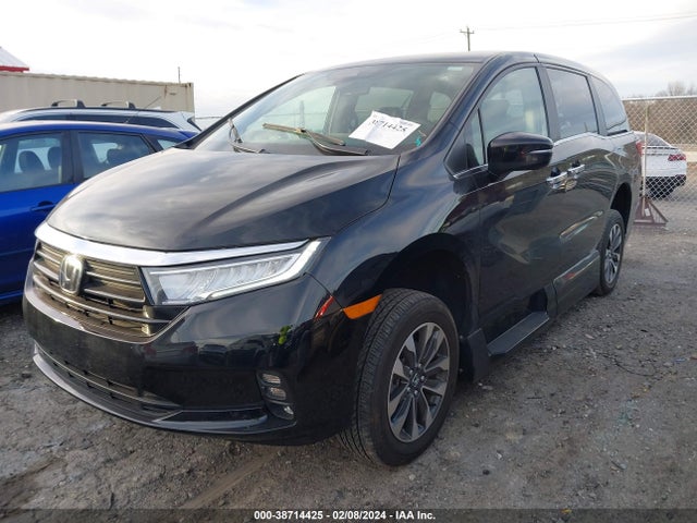 Honda Odyssey Ex-l 2022 5FNRL6H77NB066251 Image 2