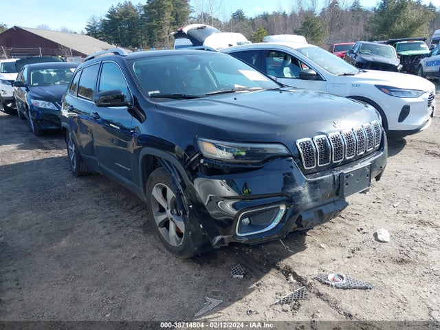 Jeep Cherokee Limited 4x4 2020 1C4PJMDN0LD567959 Image 1