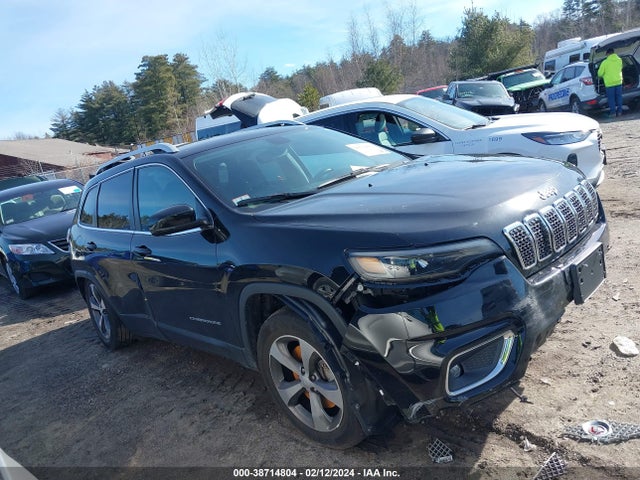 Jeep Cherokee Limited 4x4 2020 1C4PJMDN0LD567959 Image 13