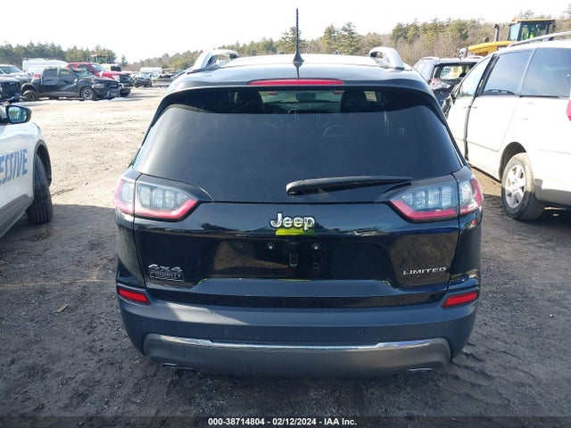 Jeep Cherokee Limited 4x4 2020 1C4PJMDN0LD567959 Image 16