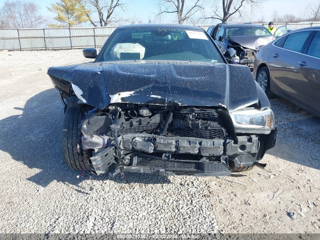 Dodge Charger R/t Max 2014 2C3CDXDT6EH230616 Image 6