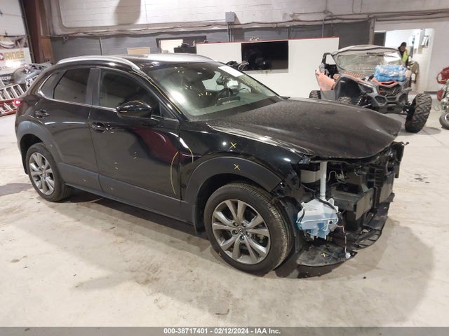 2022 MAZDA CX-30 SELECT VIN: 3MVDMBBL2NM430429