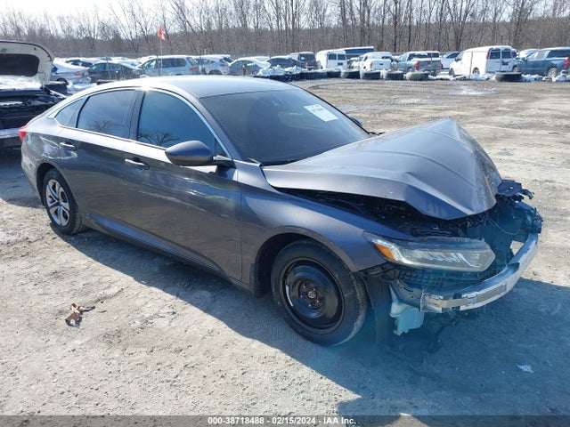 2019 1HGCV1F3XKA113393 главное изображение