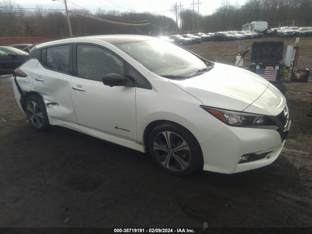 Nissan Leaf Sl 2019 1N4AZ1CP8KC306413 zdjęcie główne