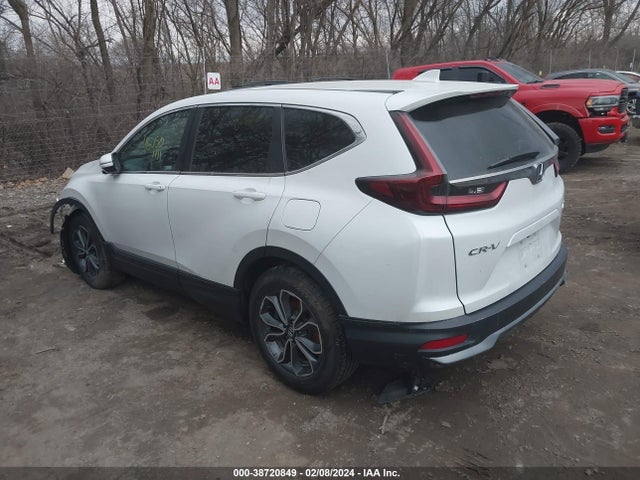 Honda Cr-v Awd Ex 2021 5J6RW2H52ML006169 Image 3