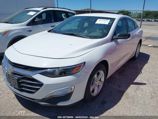 Chevrolet Malibu 1fl 2019 1G1ZC5ST3KF182286 Image 2