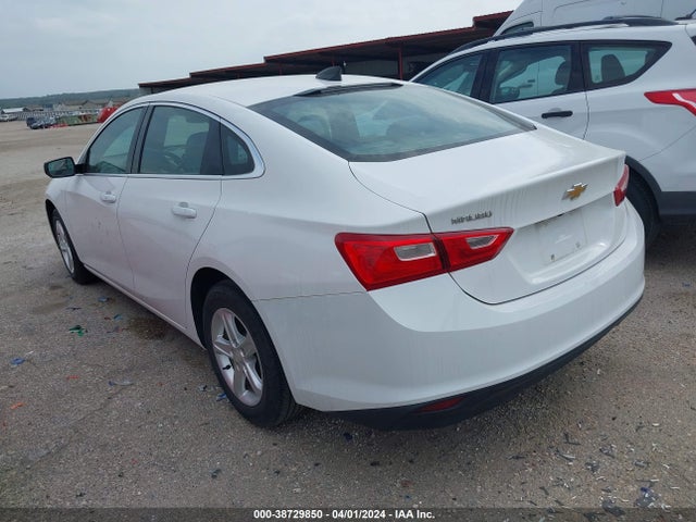 Chevrolet Malibu 1fl 2019 1G1ZC5ST3KF182286 Image 3