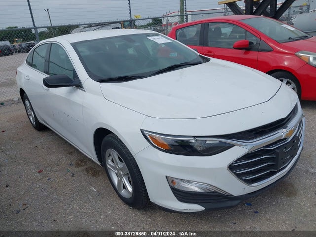 Chevrolet Malibu 1fl 2019 1G1ZC5ST3KF182286 Image 6