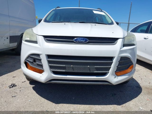 1FMCU0F74EUD73558 Ford ESCAPE S