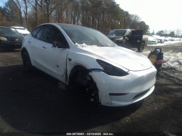 2021 TESLA MODEL Y 5YJYGDEE3MF250303