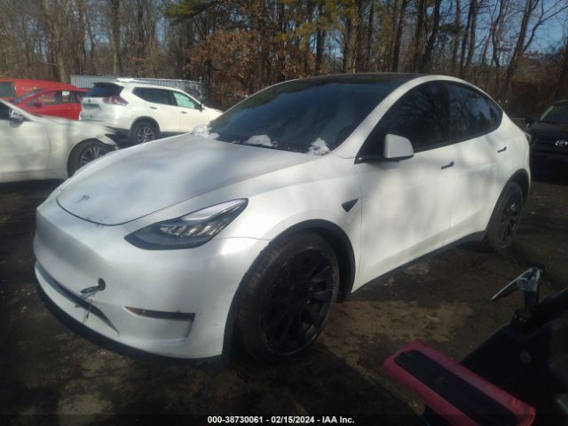 2021 TESLA MODEL Y 5YJYGDEE3MF250303 Photo 1